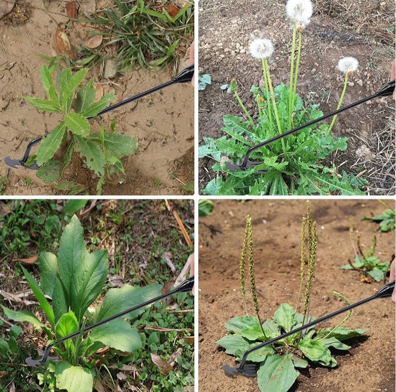 Weeds-yanker