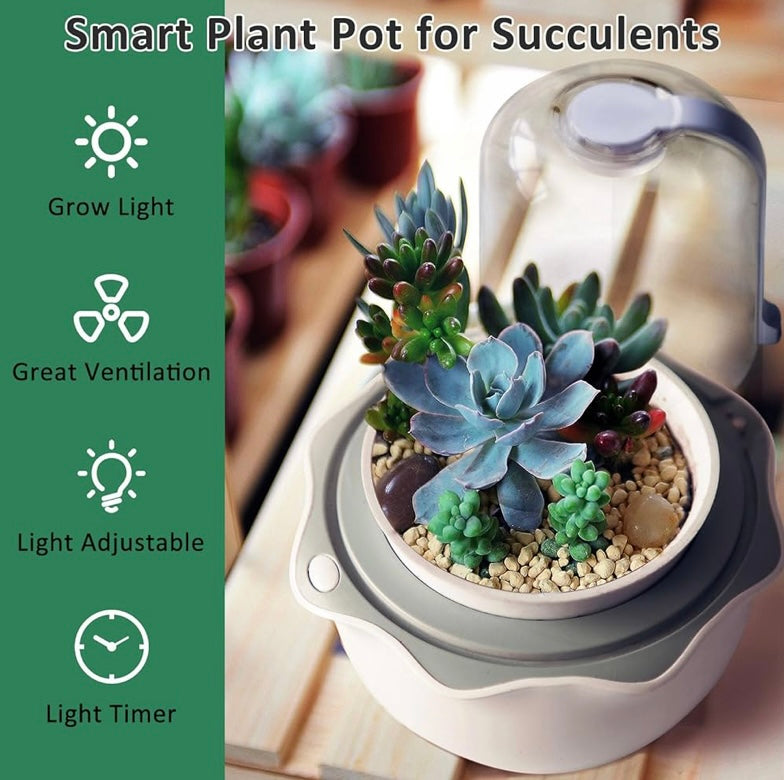Smart Venus Flytrap Pot