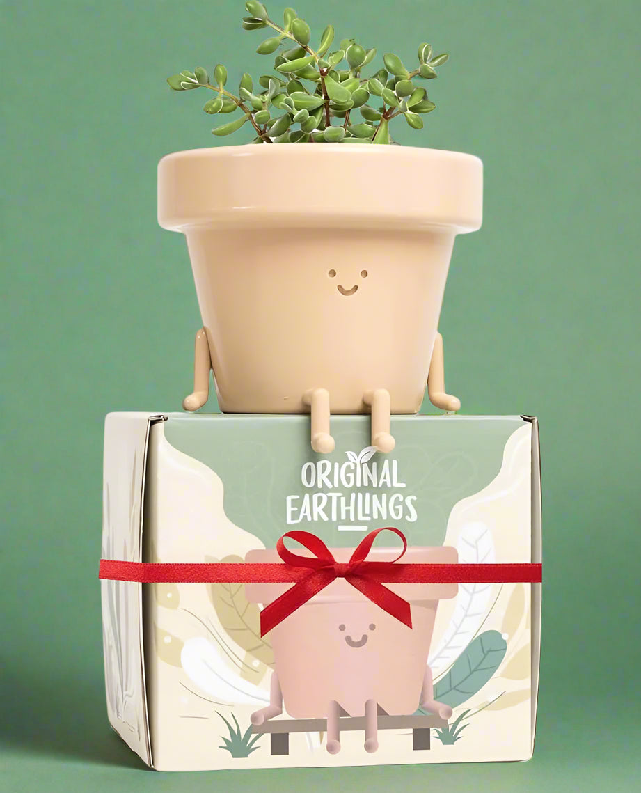 The Happy Pot