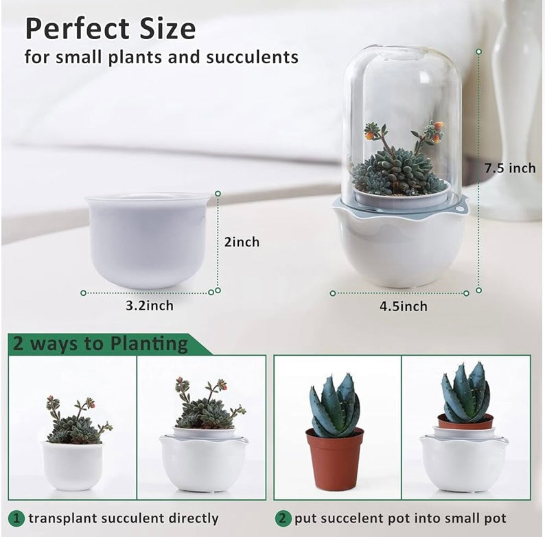 Smart Venus Flytrap Pot