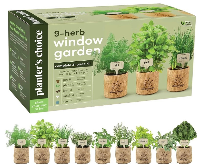 Indoor Plant starter kit Bundle