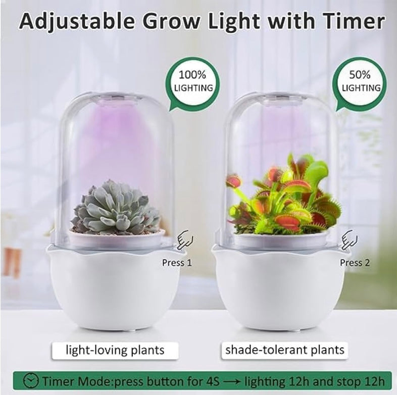 Smart Venus Flytrap Pot