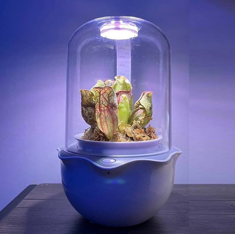 Smart Venus Flytrap Pot