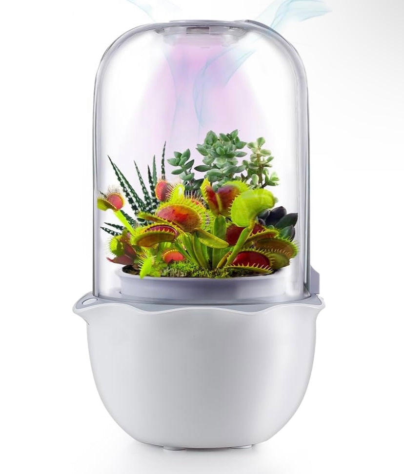Smart Venus Flytrap Pot