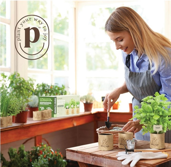 Indoor Plant starter kit Bundle