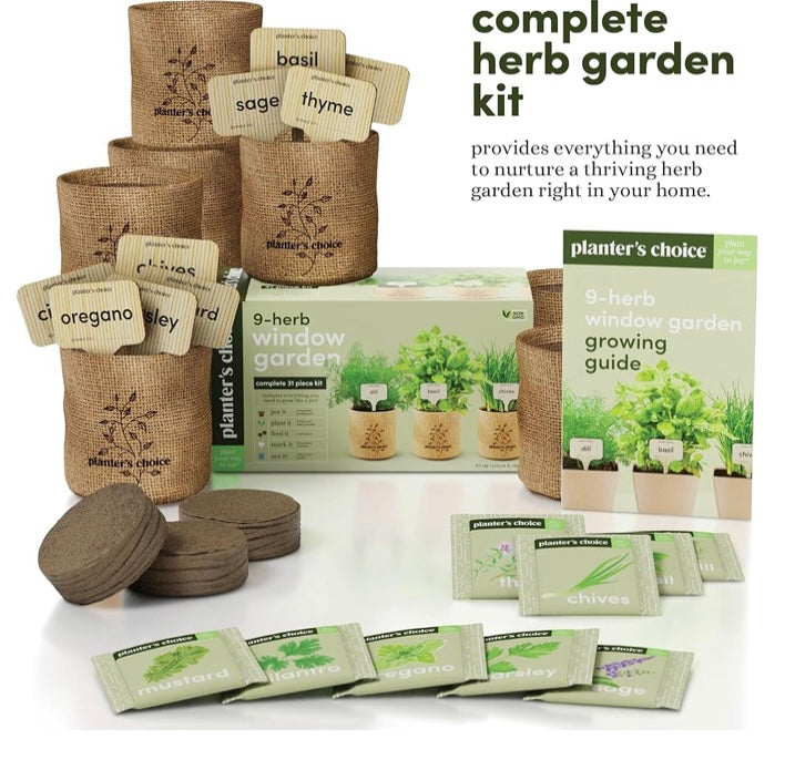 Indoor Plant starter kit Bundle