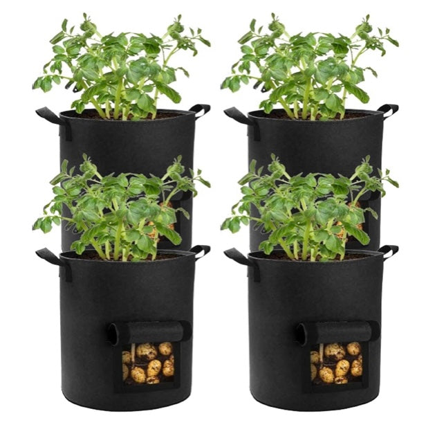 See through-VeggiePot
