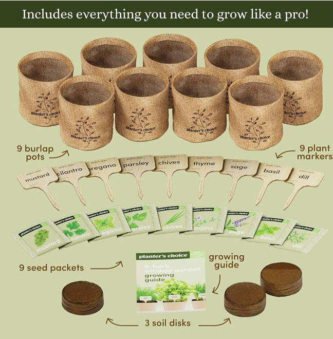 Indoor Plant starter kit Bundle