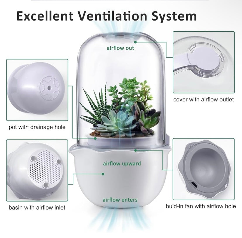 Smart Venus Flytrap Pot