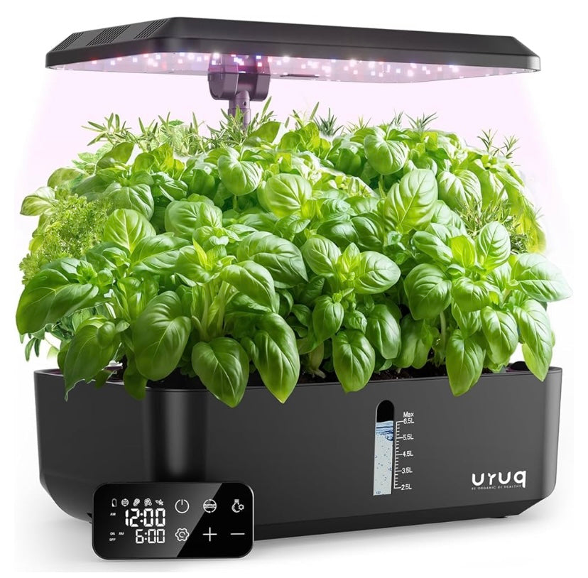 Indoor-PlantLife