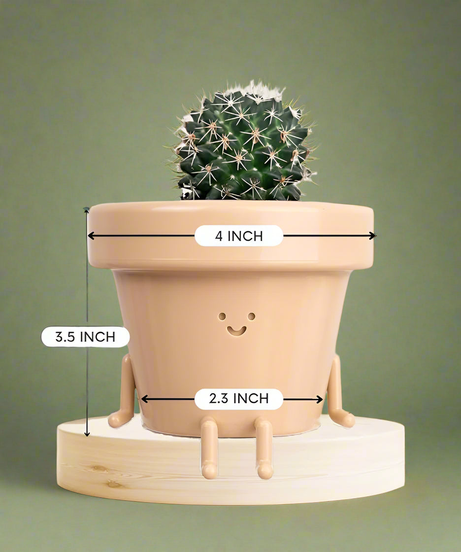 The Happy Pot