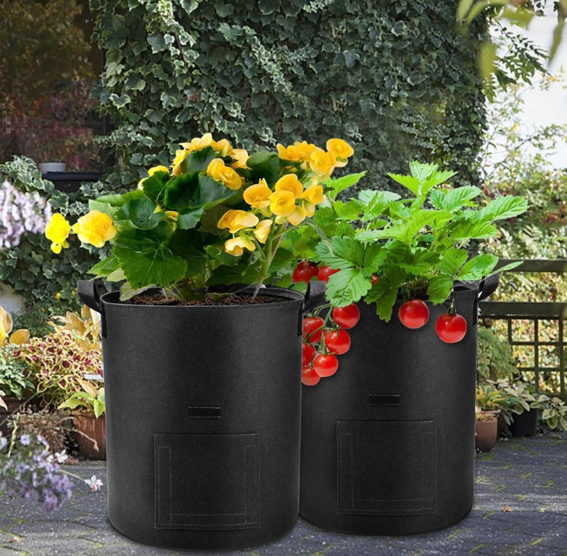 See through-VeggiePot