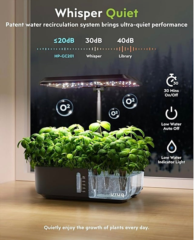Indoor-PlantLife