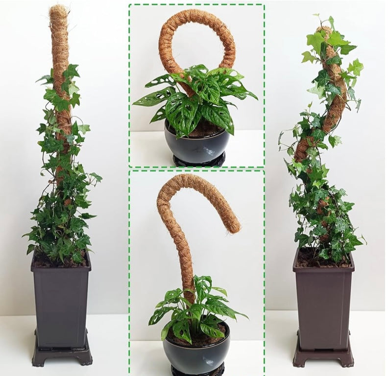 Self-Poster Plants