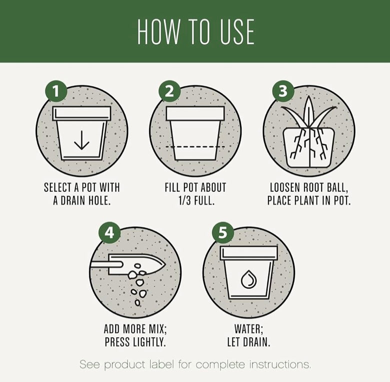 Indoor Plant Soil