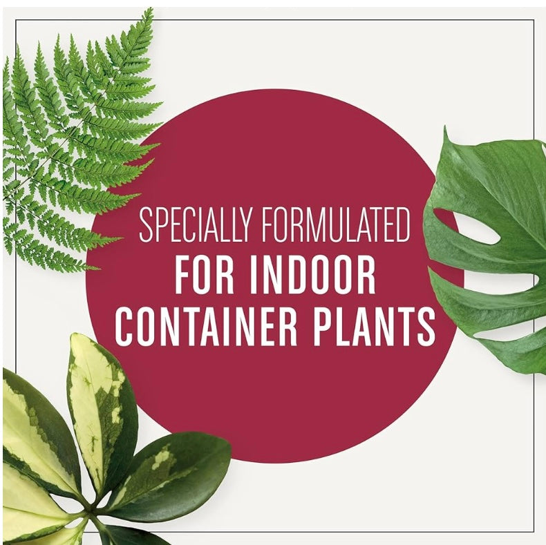 Indoor Plant Soil