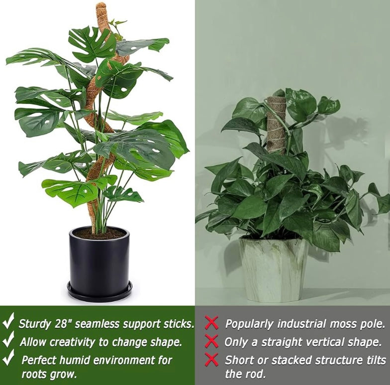 Self-Poster Plants