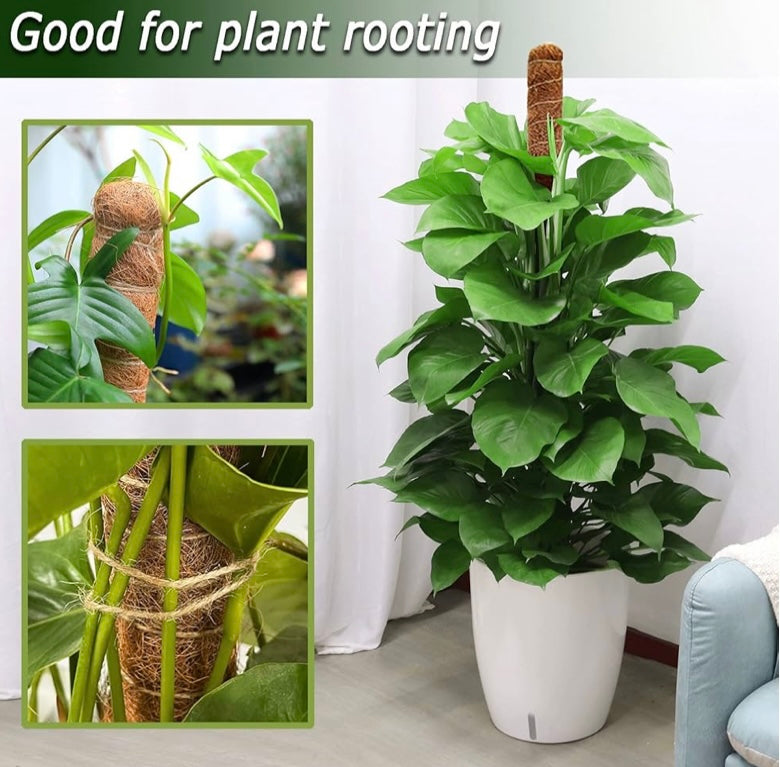 Self-Poster Plants