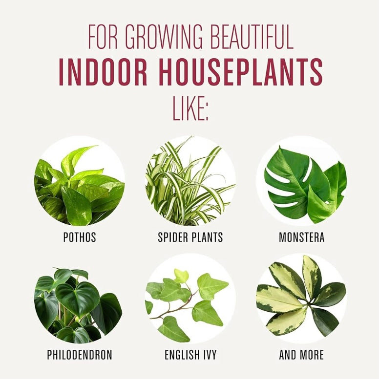 Indoor Plant Soil