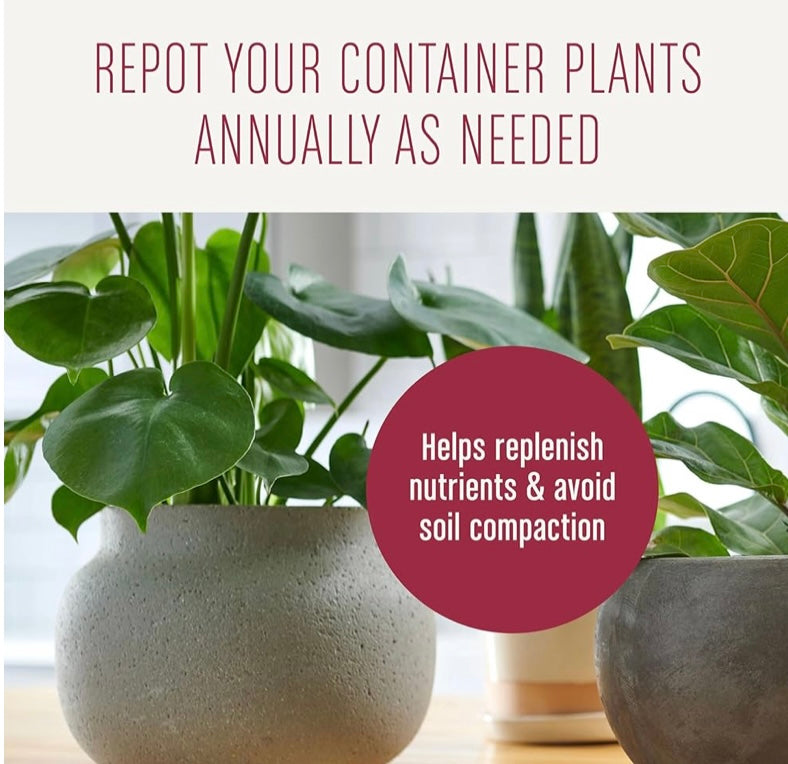Indoor Plant Soil