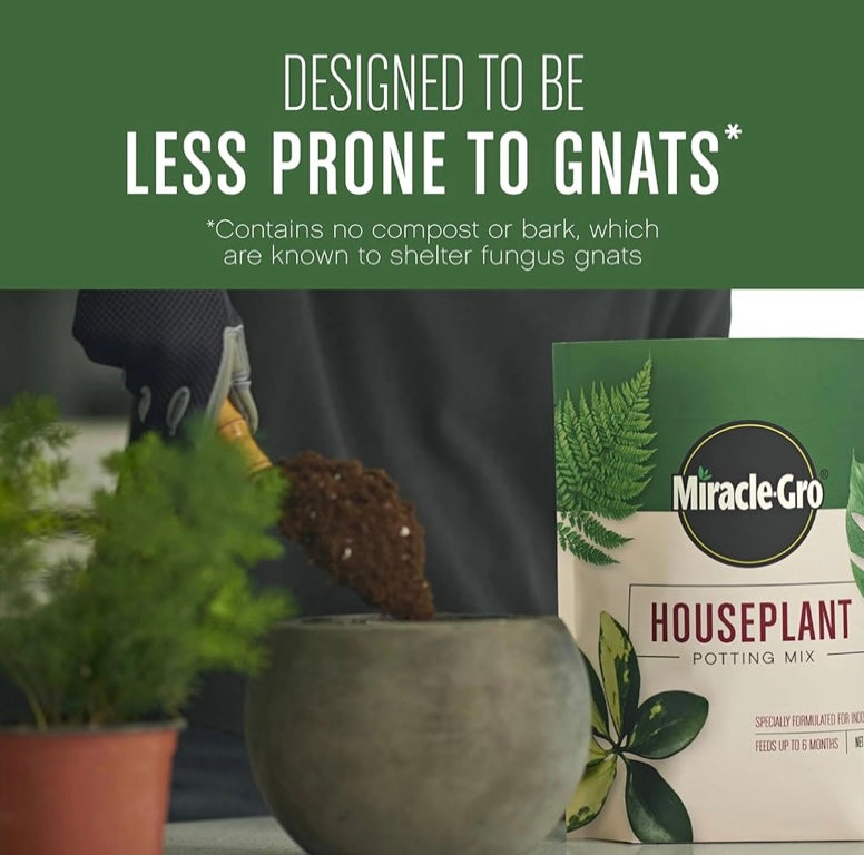 Indoor Plant Soil