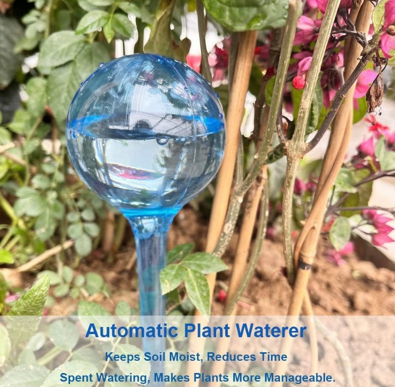 Water Globes(10 Pack)
