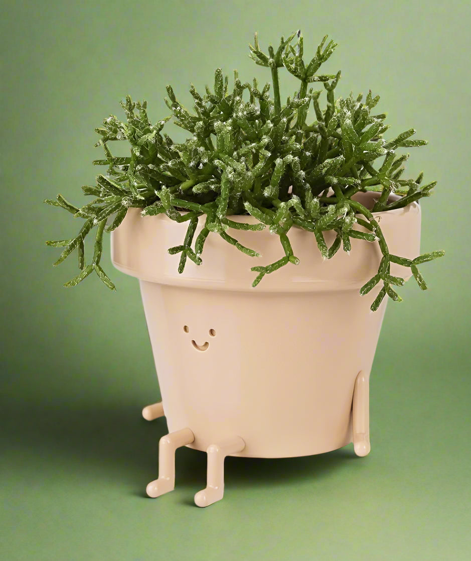 The Happy Pot