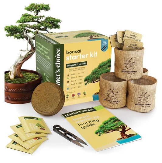 Bonsaį HomeTree Starter Kit
