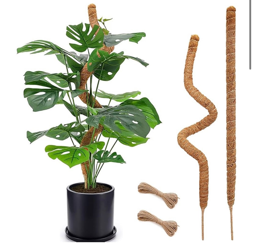 Self-Poster Plants